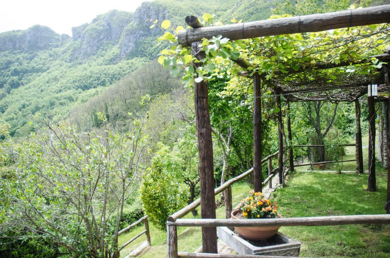 Il Frutteto Natura A Relax Stazzema Ngoại thất bức ảnh