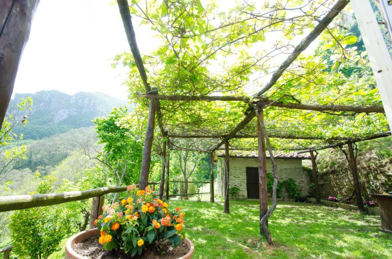 Il Frutteto Natura A Relax Stazzema Ngoại thất bức ảnh