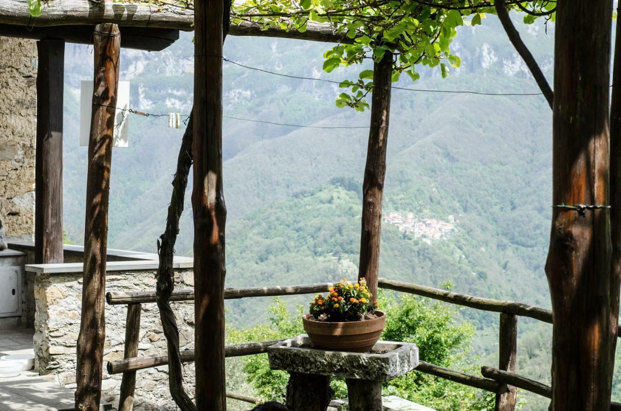Il Frutteto Natura A Relax Stazzema Ngoại thất bức ảnh